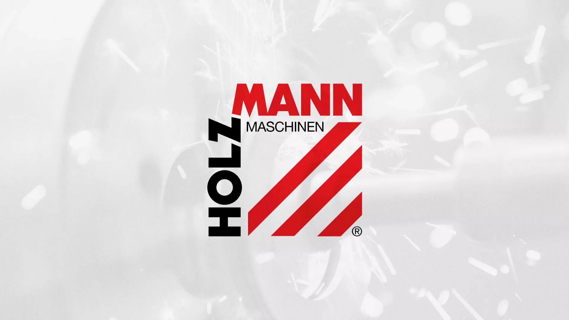 Создание сайта компании «HOLZMANN Maschinen GmbH» в Сковородино